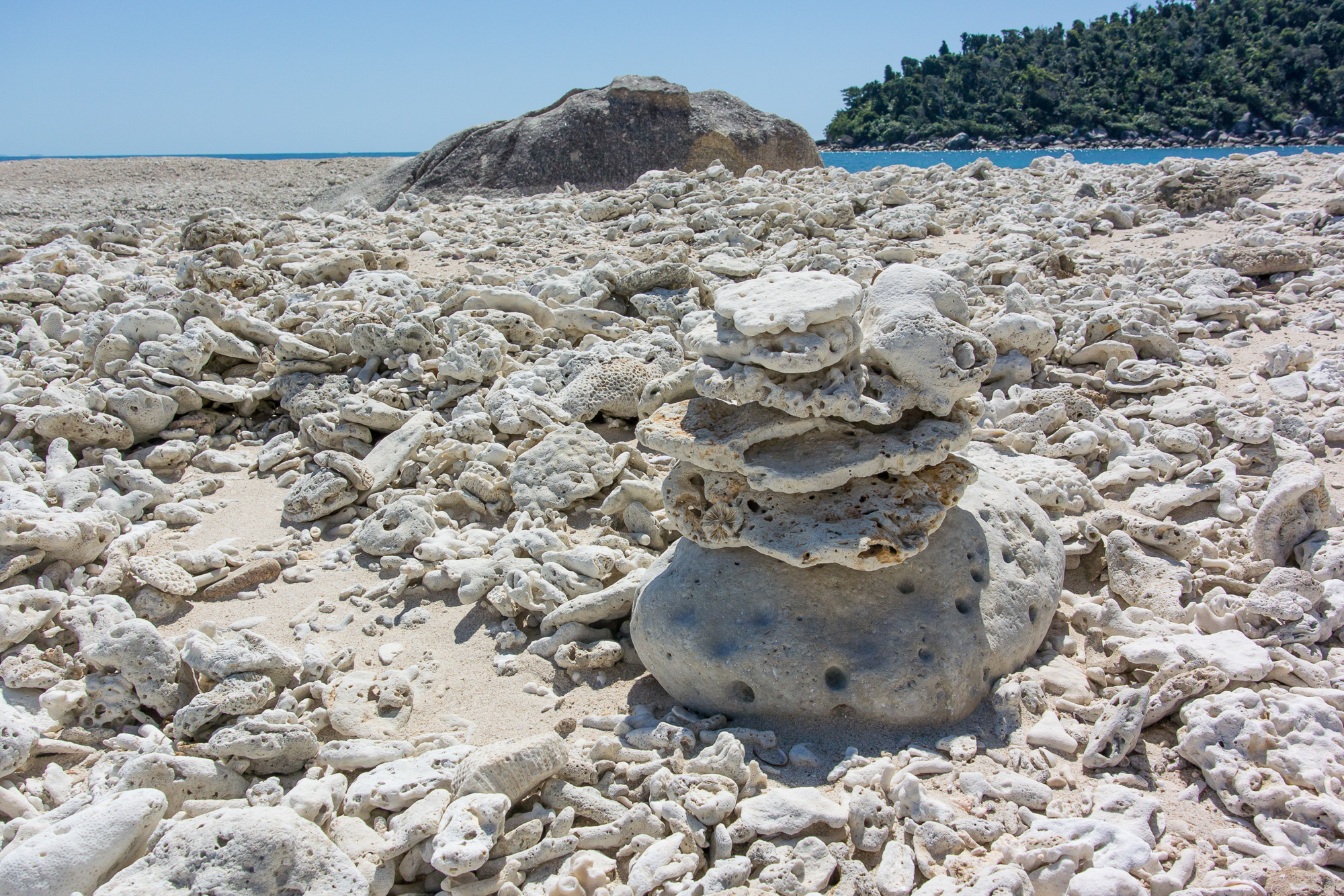 bowden-island-mission-beach-60