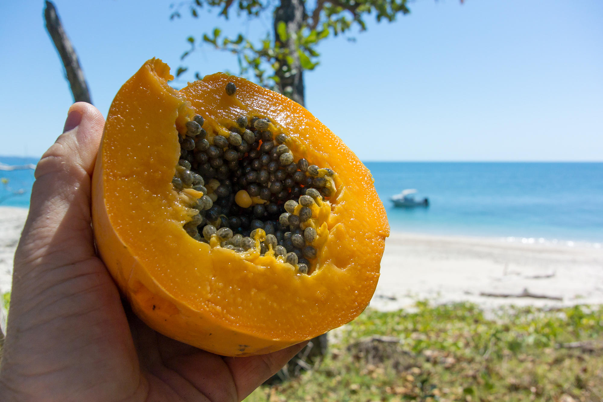 bowden-island-mission-beach-67