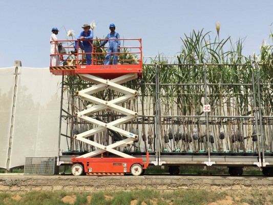 11174213_1004518492900432_3732059354403162014_o